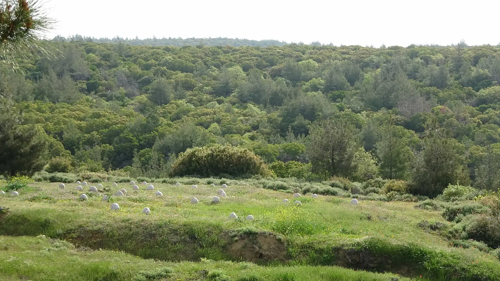 110 yıl sonra ortaya çıktı! 57. Alay'ın Anzaklara karşı yazdığı destan