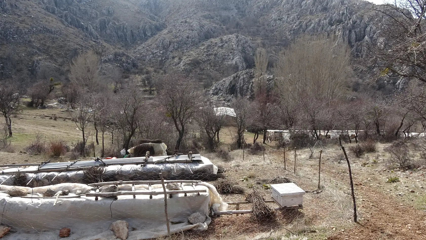 Kardeş cinayetinde sanık Ahmet K. 'Çok pişmanım o benim ağabeyimdi'