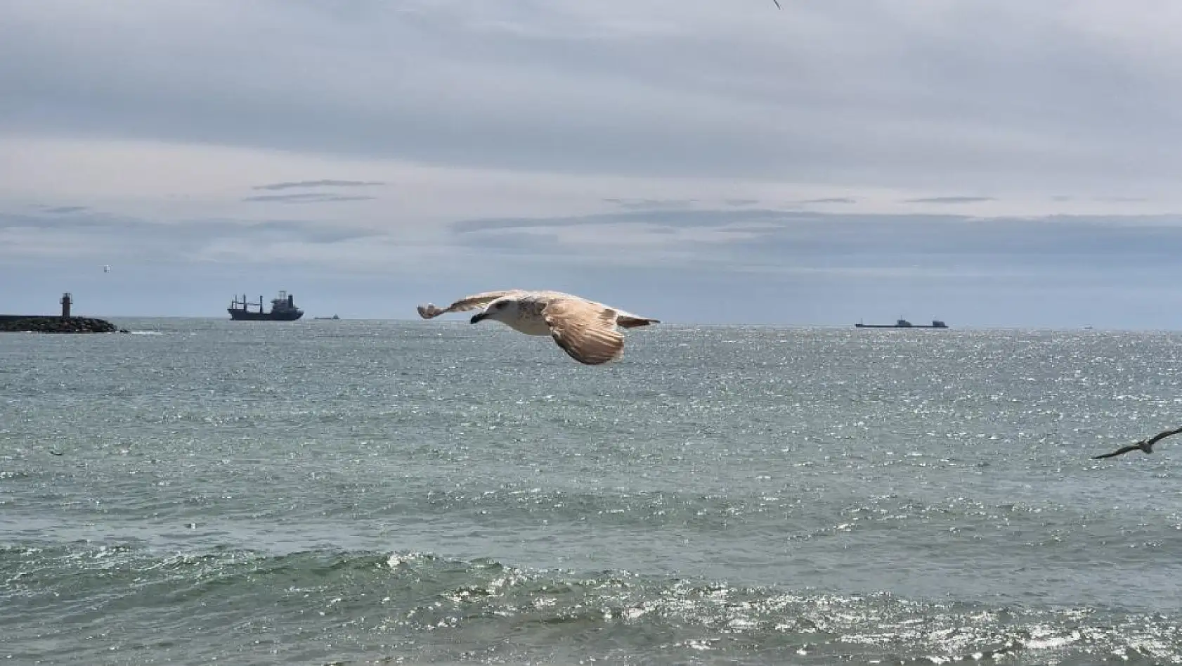 Limana hapsoldular: 5 gündür çıkamıyorlar
