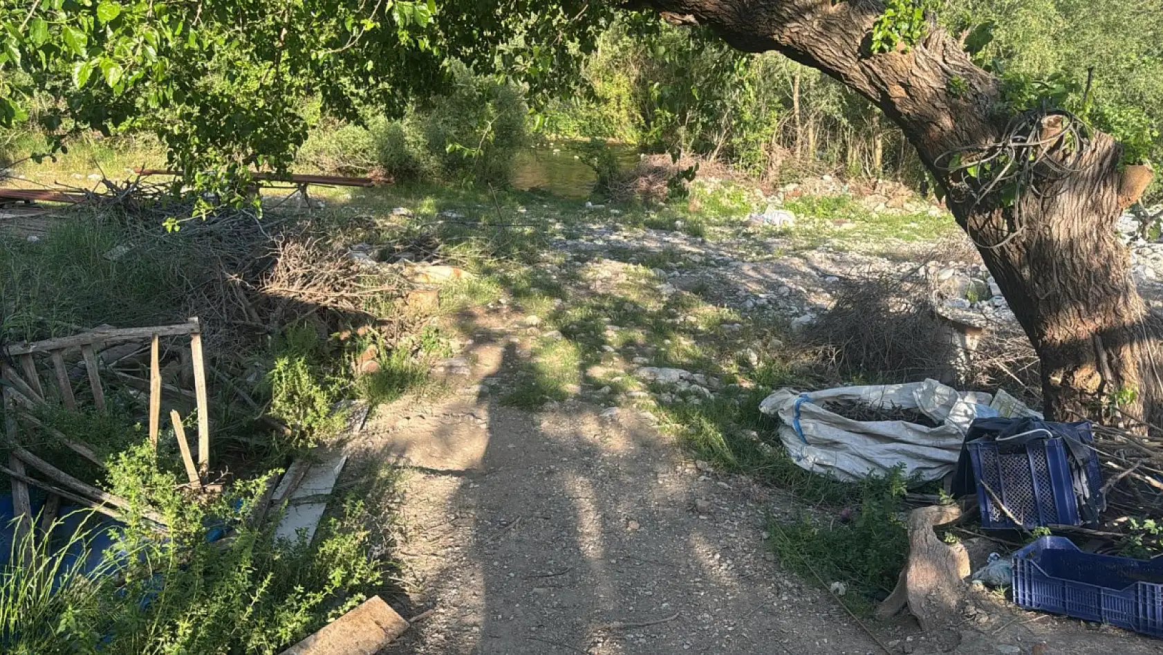 Seydikemer'de şok ölüm! Balık Avlayan Genç Hayatını Kaybetti