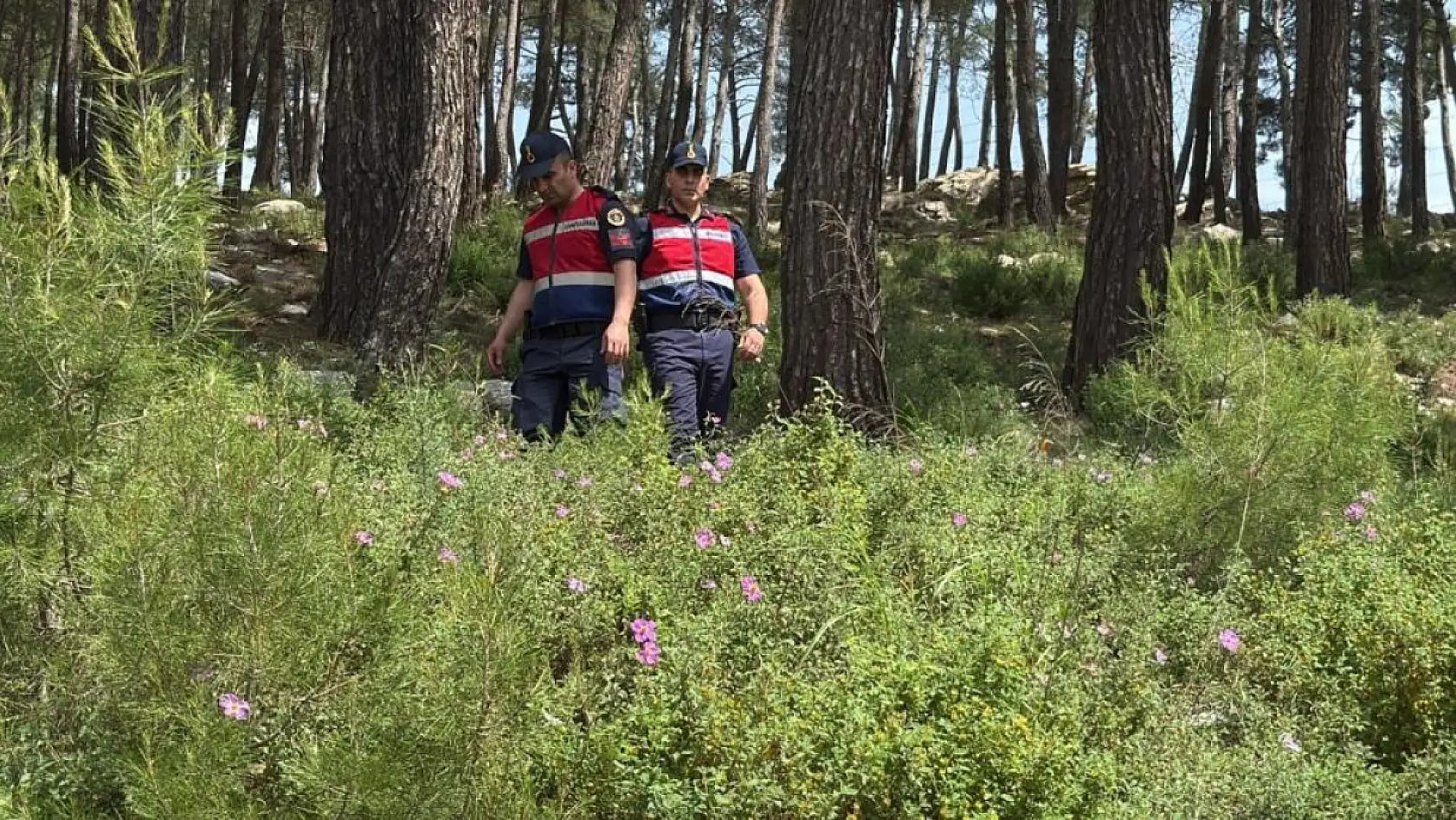 Bodrum'da ormanlara giriş yasaklandı, jandarma termal dronla kuş uçurtmuyor