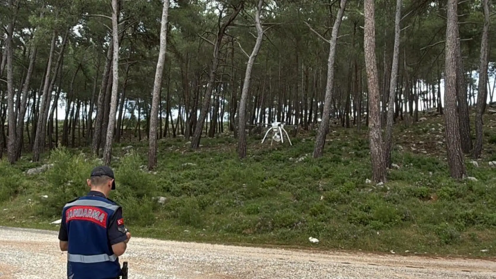 Bodrum'da ormanlara giriş yasaklandı, jandarma termal dronla kuş uçurtmuyor
