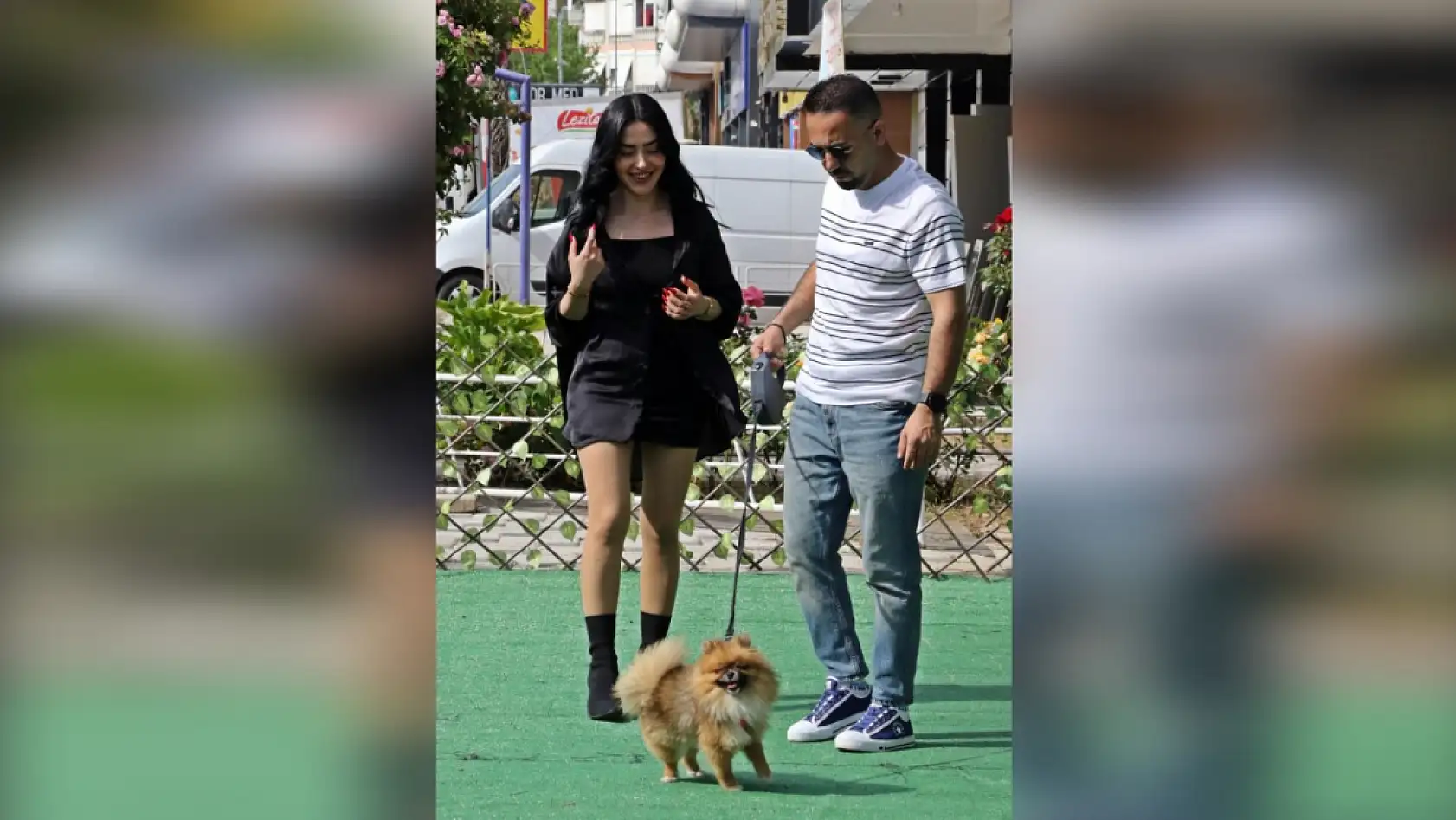 Güzellik yarışmasında birinci seçilip kaybolan köpek bulundu, sahipleri sevince boğuldu