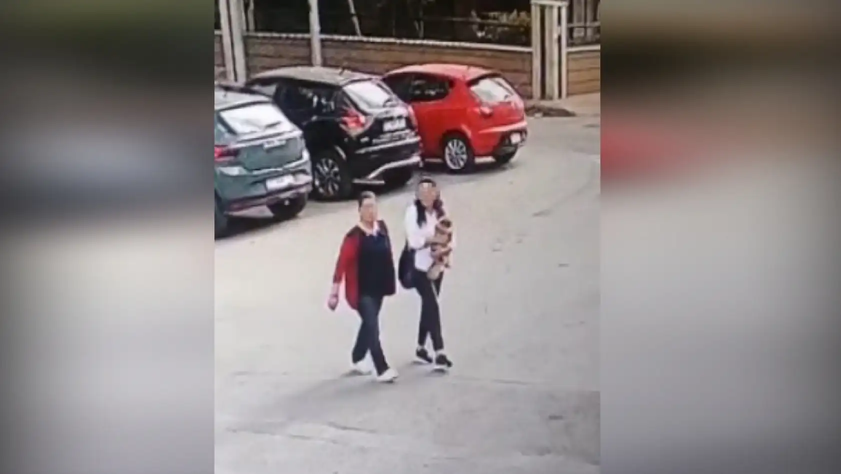 Güzellik yarışmasında birinci seçilip kaybolan köpek bulundu, sahipleri sevince boğuldu