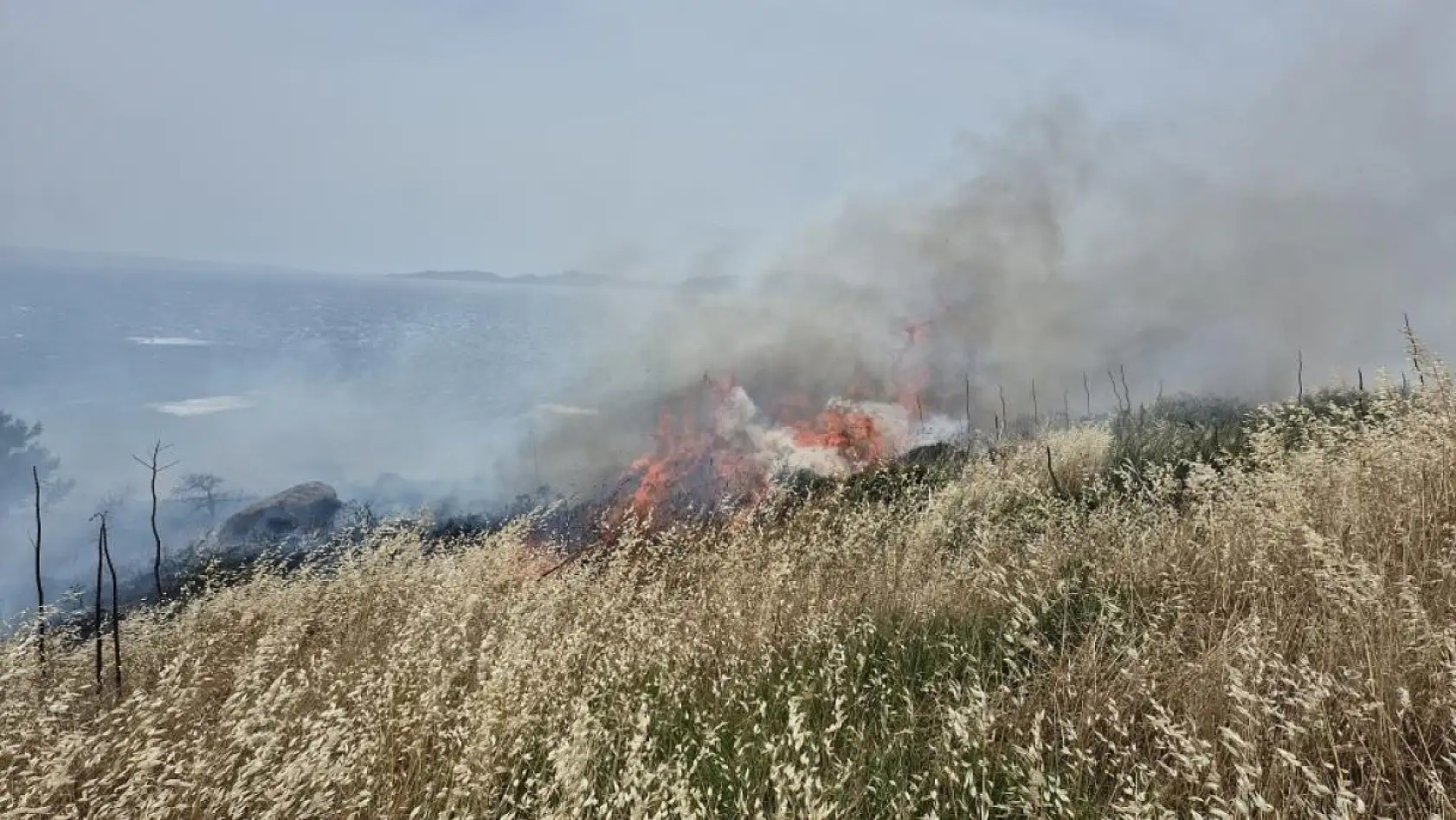 Bodrum'da otluk ve makilik alanda yangın: 5 hektar alan zarar gördü