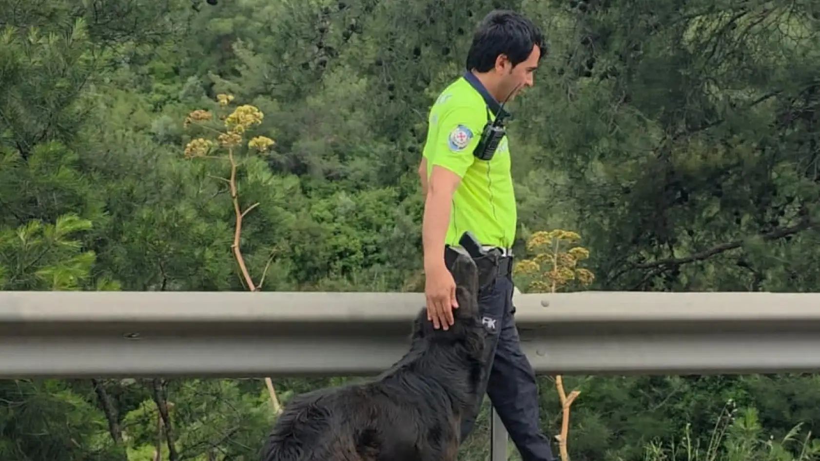 Zincirleme kazadan sonra yol ortasında kalan köpeğe polis sahip çıktı