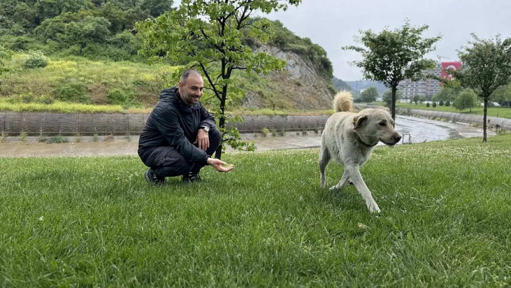 Bankada mahsur kalan köpek alarm sistemini devreye soktu: Çevredekiler hırsız var sandı