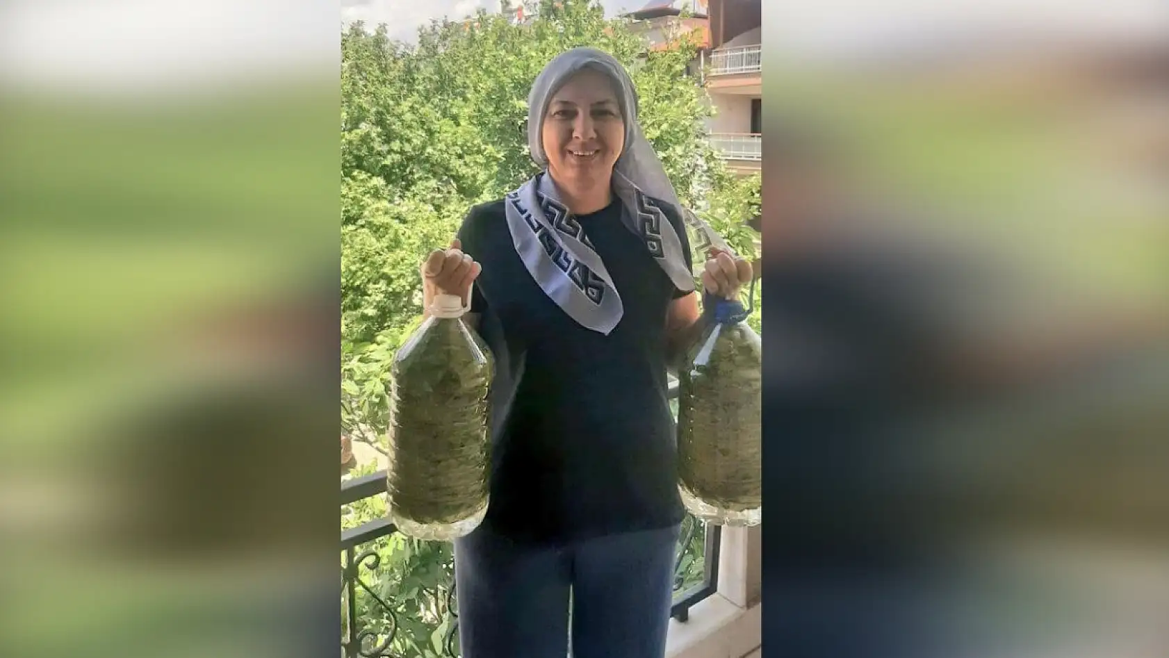 Bu yapraklar altın gibi! 850 TL yerine 1500 TL kazanıyorlar!