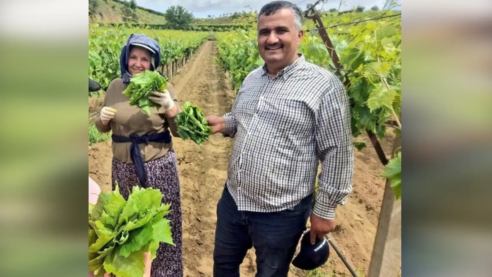 Bu yapraklar altın gibi! 850 TL yerine 1500 TL kazanıyorlar!