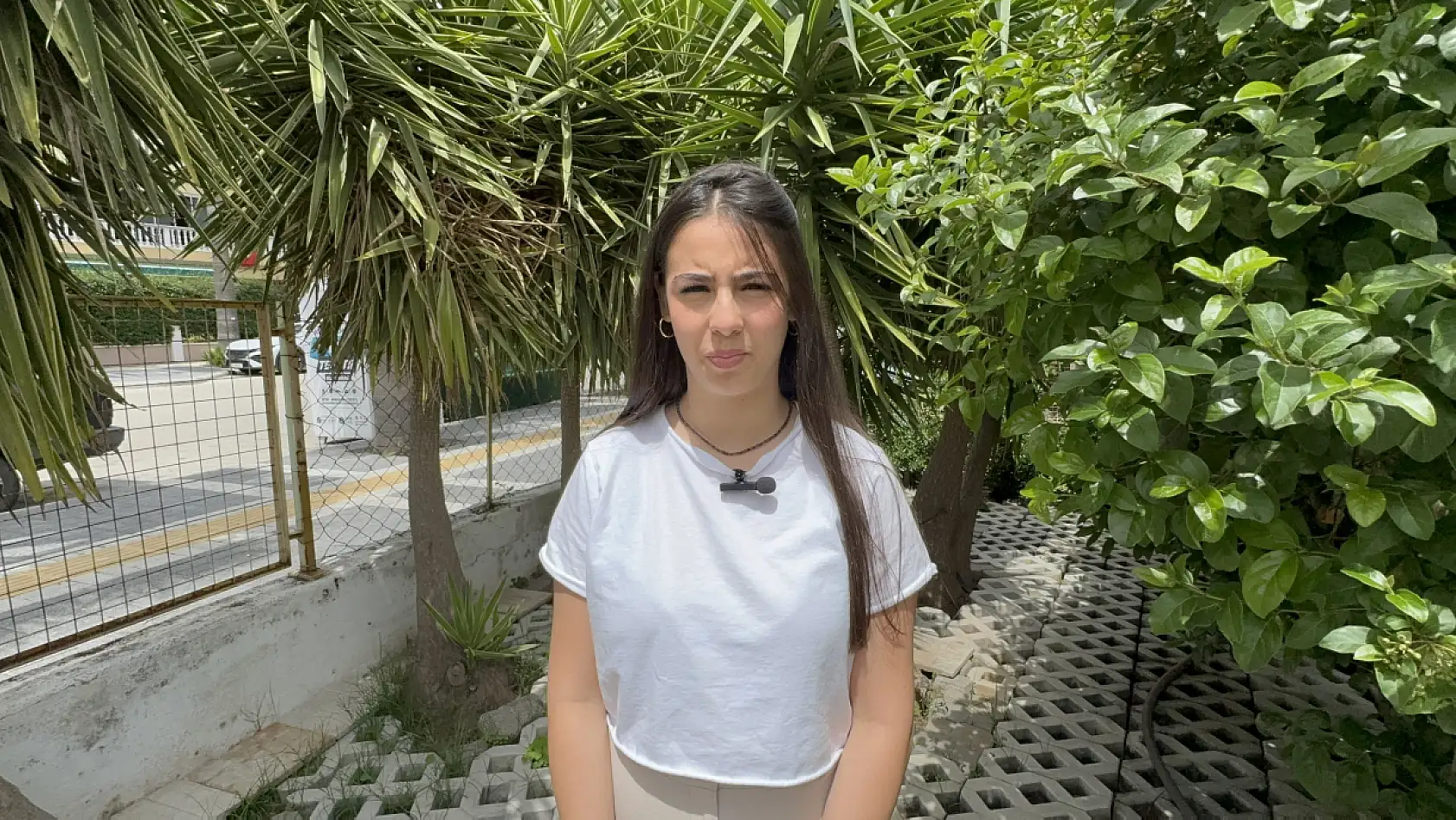 Marmaris'te yaban domuzu istilası