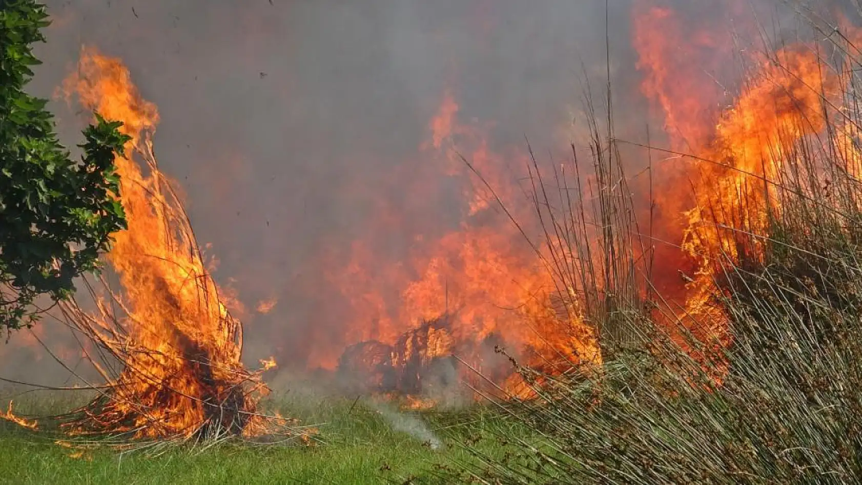 Kahraman İtfaiyeciler Alevlere Set Oldu! Bir Adım Geri Atmadılar