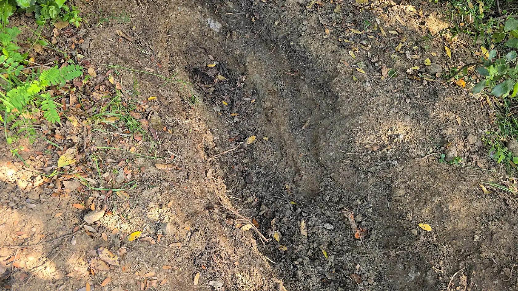 Ailesinin kayıp ihbarı cinayeti ortaya çıkardı