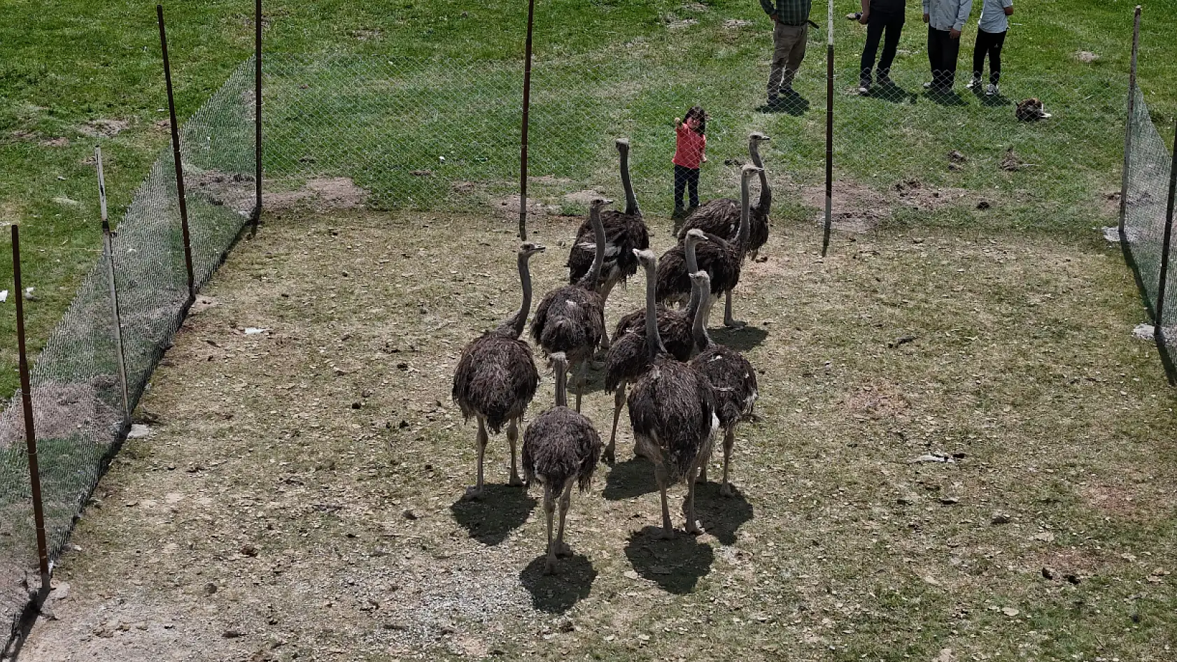 Babasının hayalini gerçekleştirdi, Sivas'ta ilki yaptı