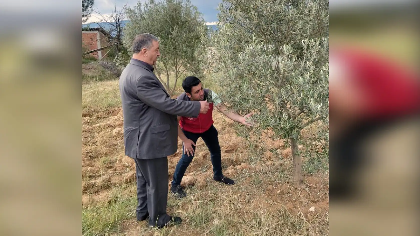 Menteşe'de dolu ve sağanak tarım arazilerine zarar verdi