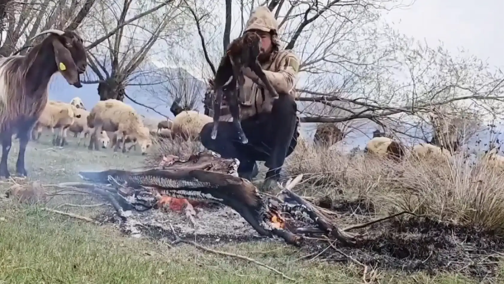 Doluya yakalanan sürüde ıslanan oğlağı ateş yakarak ısıttı