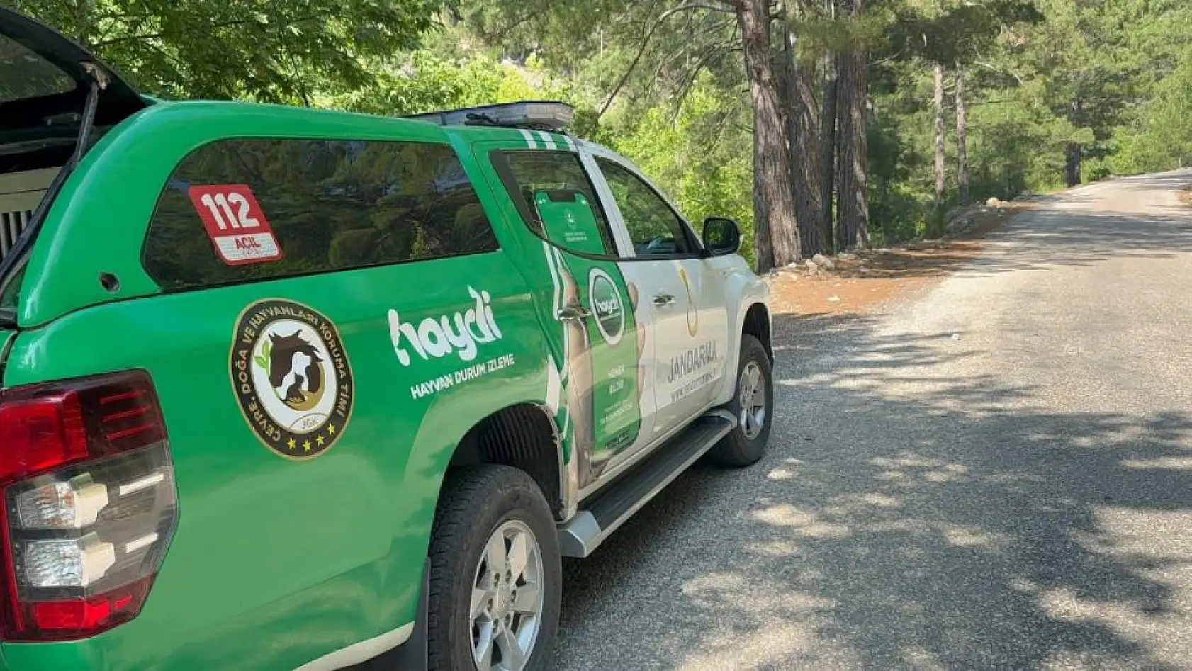 Yayla yolunda kaybolan yaşlı adam 300 kişilik ekiple aranıyor