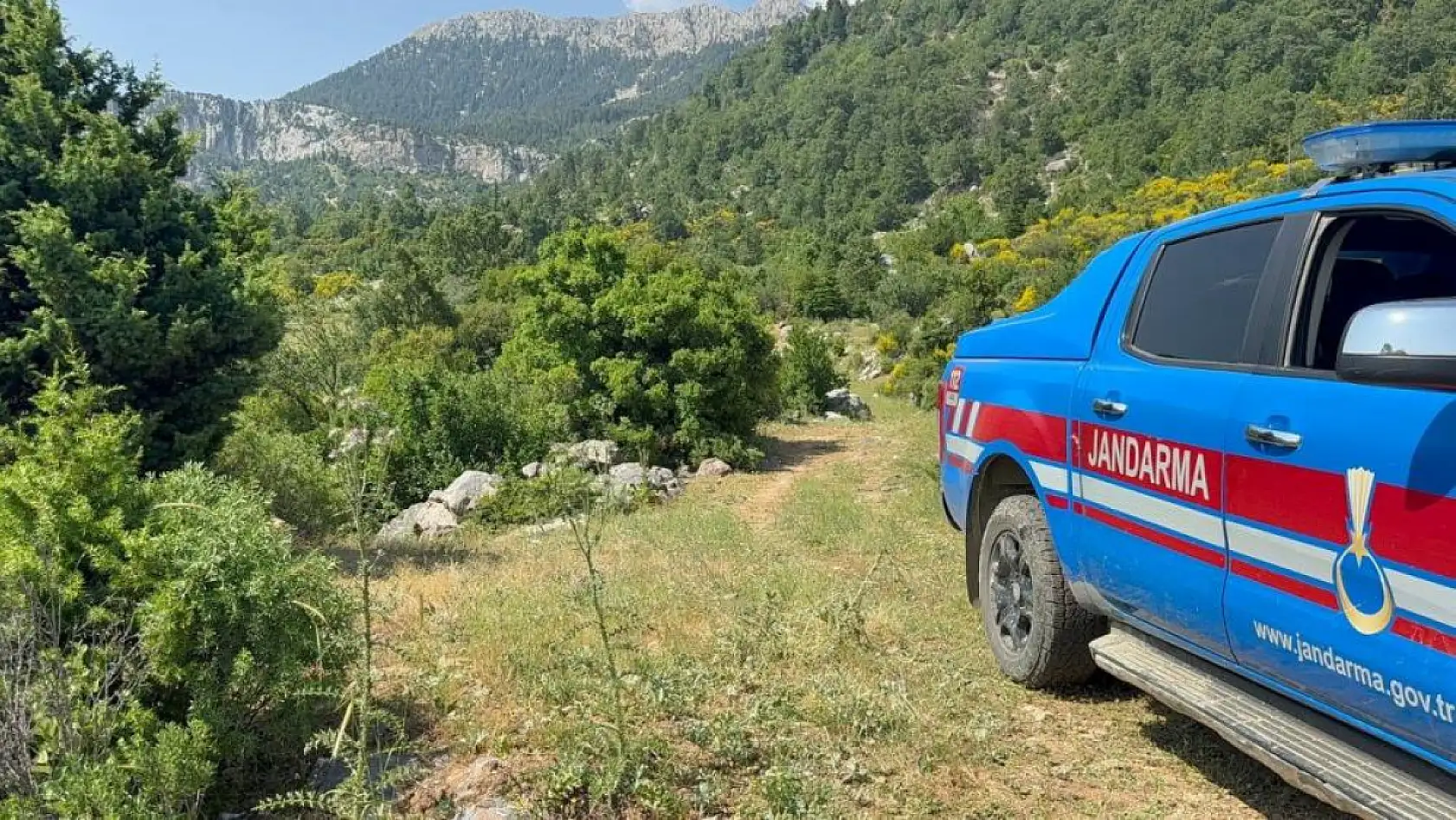 Yayla yolunda kaybolan yaşlı adam 300 kişilik ekiple aranıyor