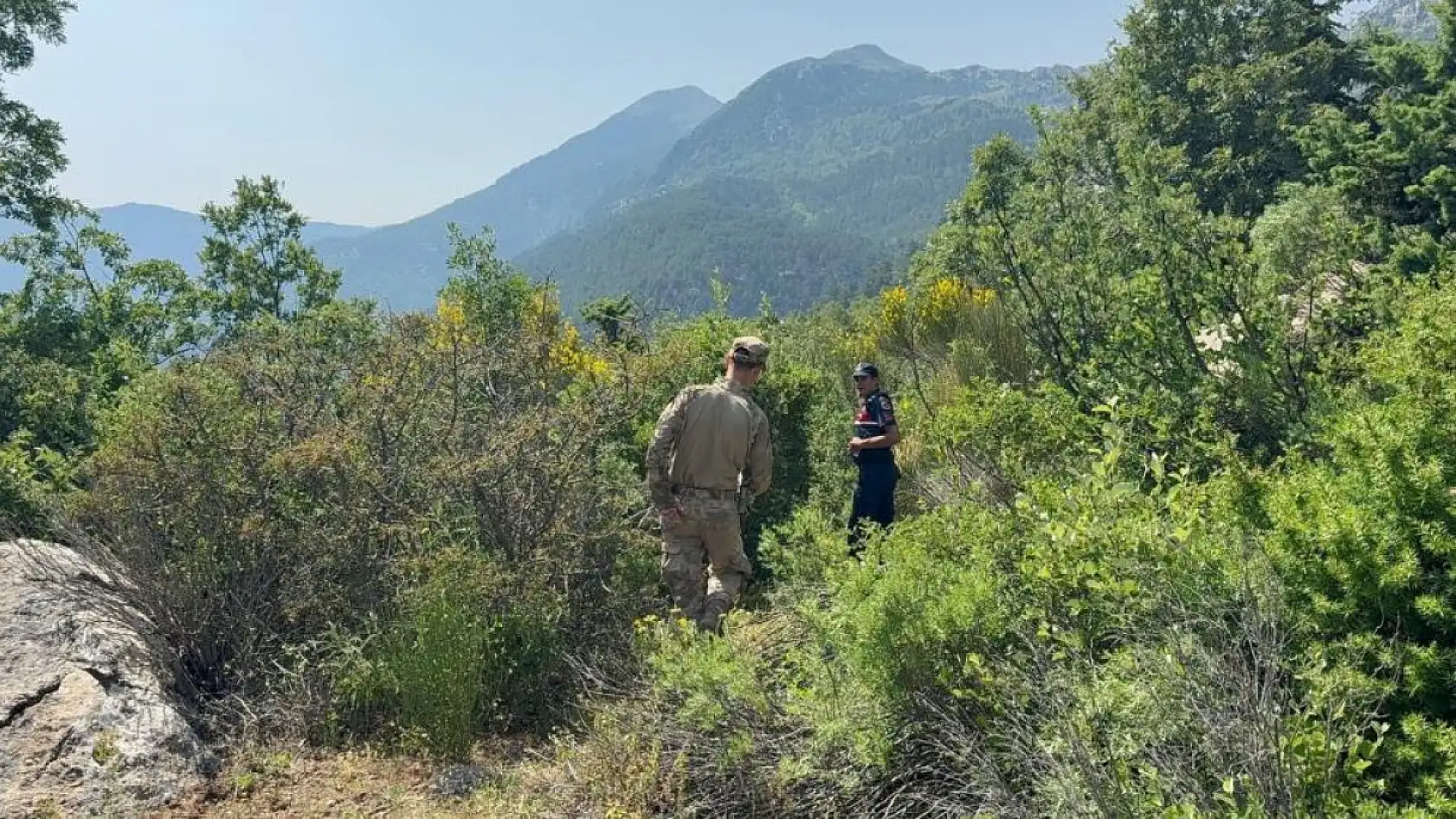 Yayla yolunda kaybolan yaşlı adam 300 kişilik ekiple aranıyor