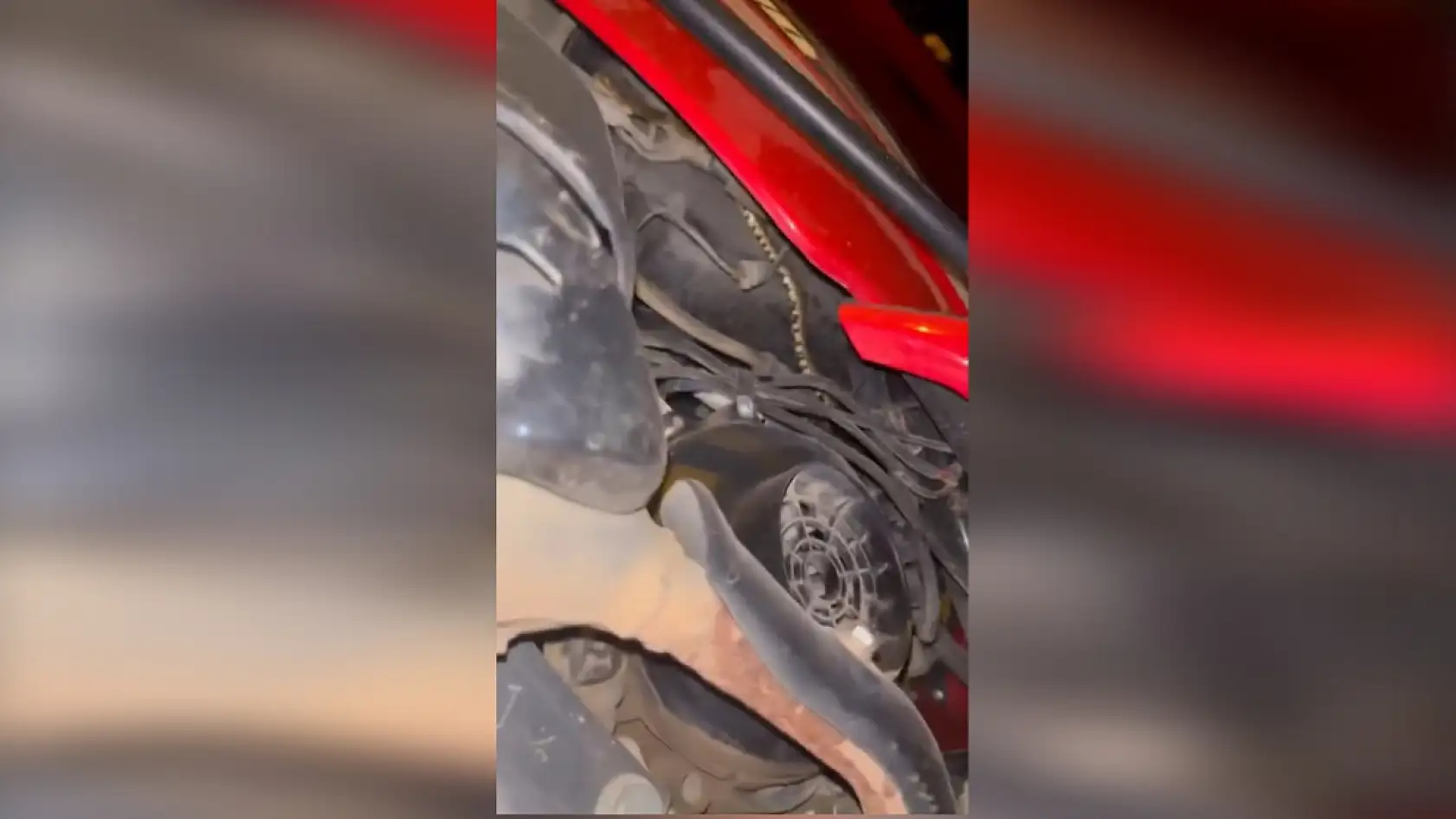 Motosikletin içine giren yılanı tek hamlede çıkardı