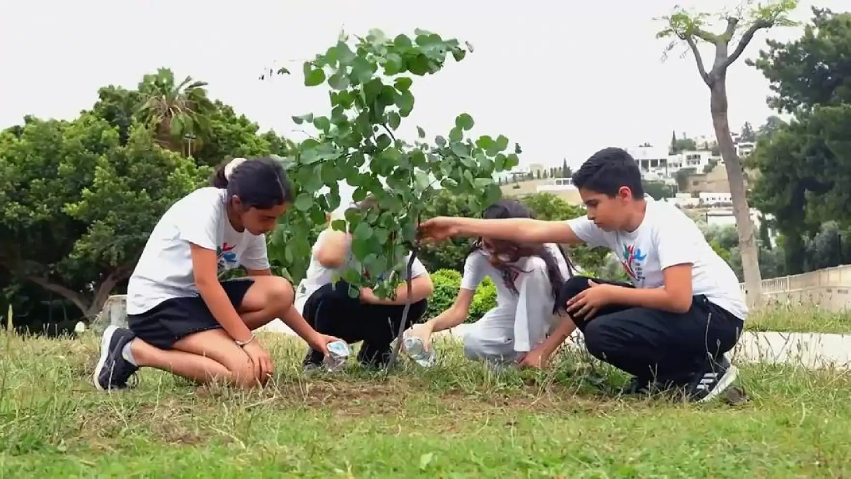 Bodrumlu çocuklardan anlamlı mesaj: Bırak tableti telefonu, hayatı kaçırma
