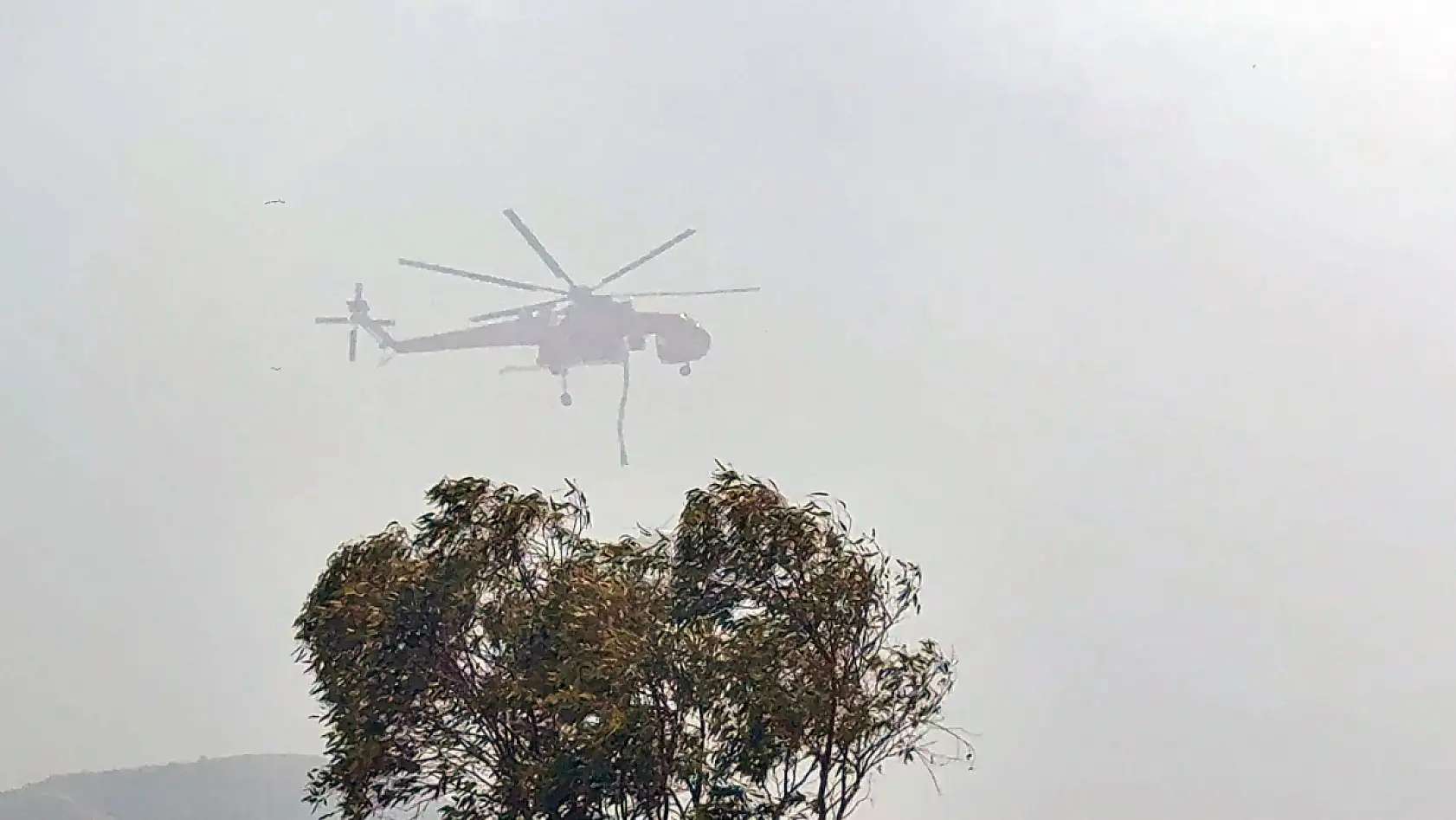 Bodrum Türkbükü yangını ile ilgili bir gözaltı