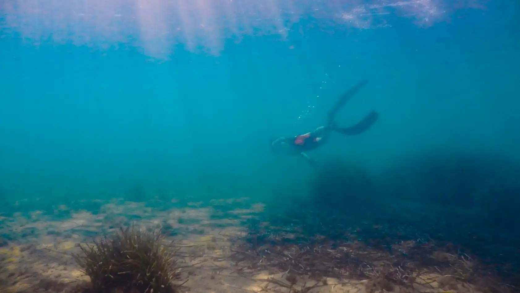 Deniz dibi temizliği Turgutreis'te devam etti