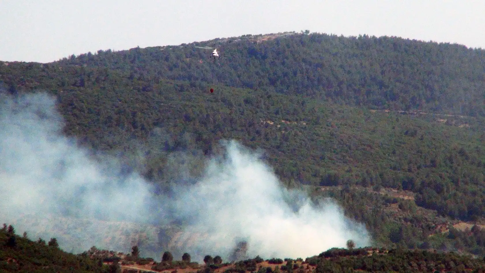 Menteşe'de çıkan yangın kontrol altına alındı