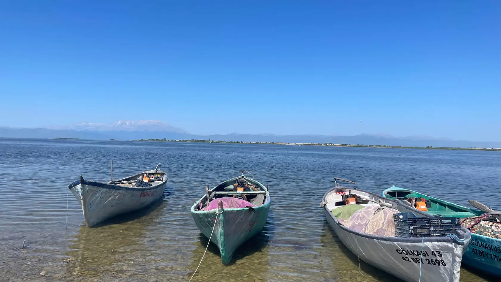 Ağlara vuran 17 kiloluk sazan balığı şaşırttı