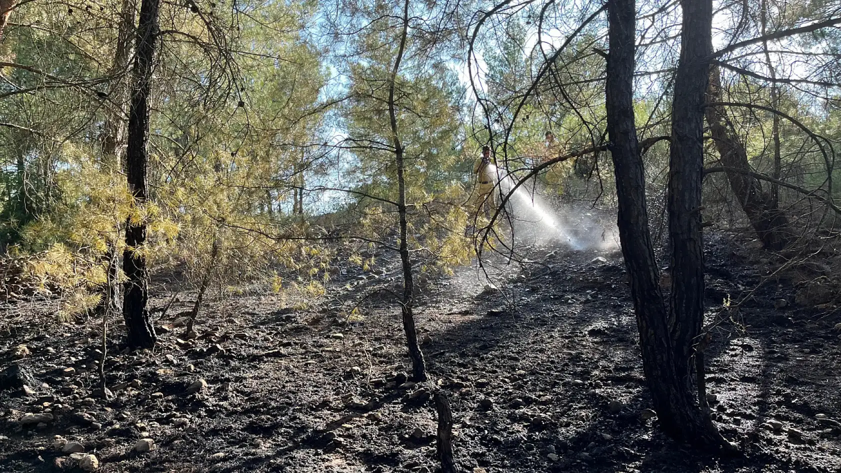 Menteşe yangını büyümeden söndürüldü