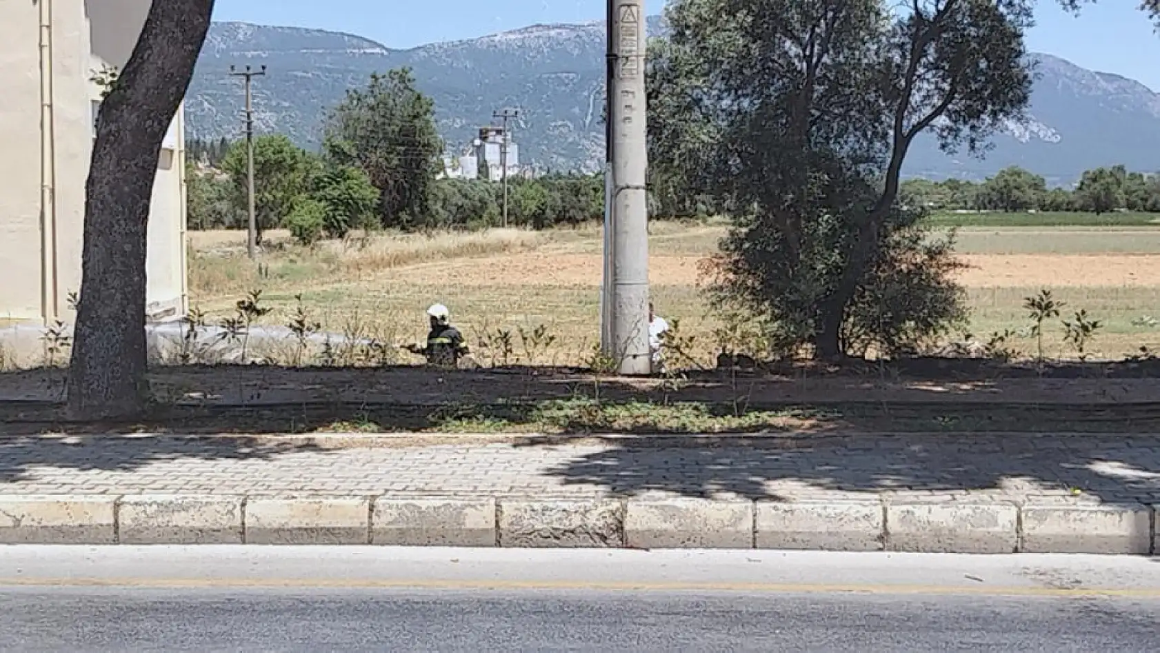 Menteşe'de yangın büyümeden söndürüldü