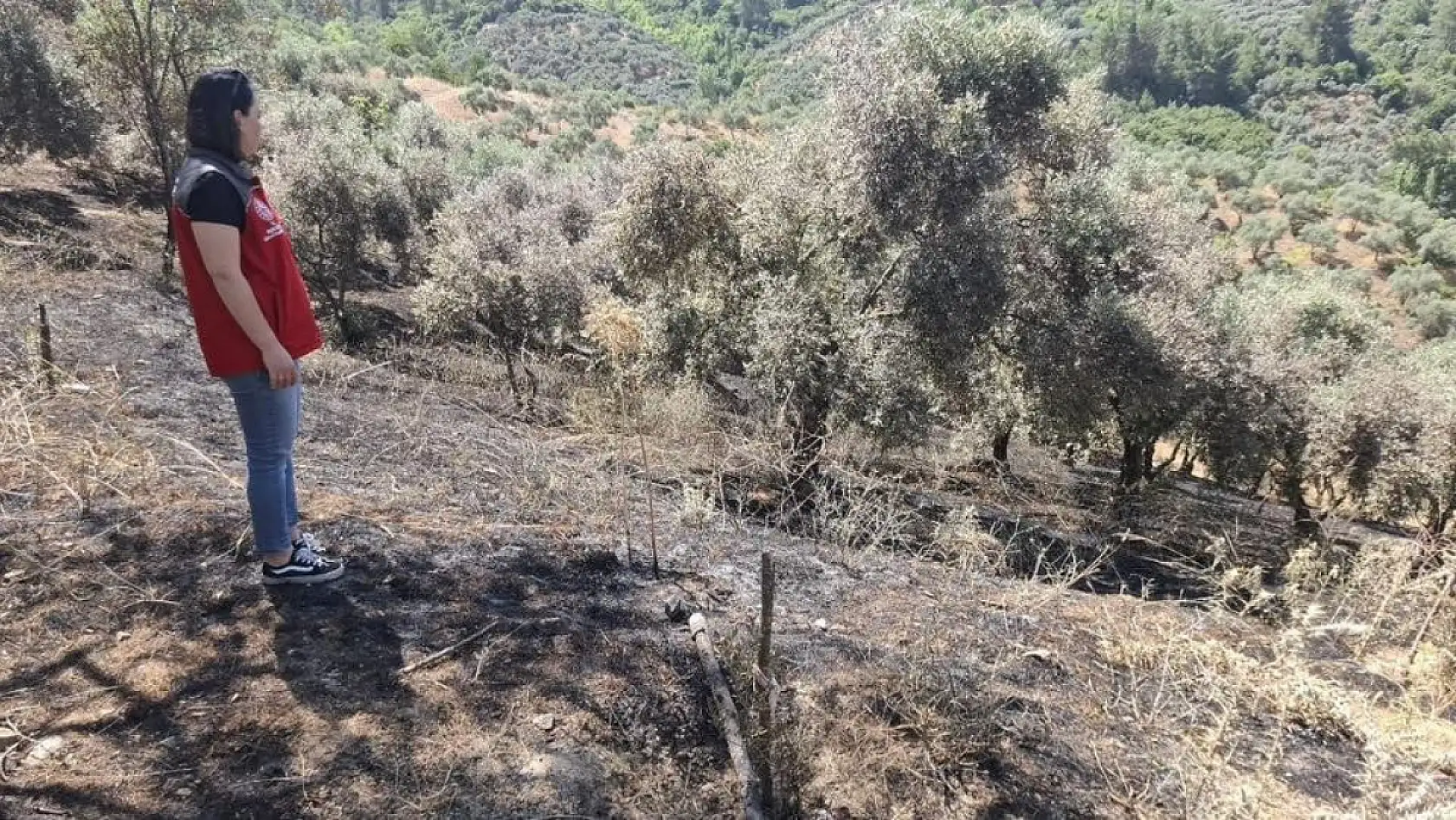 Menteşe'de yangın sonrası hasar tespiti yapıldı