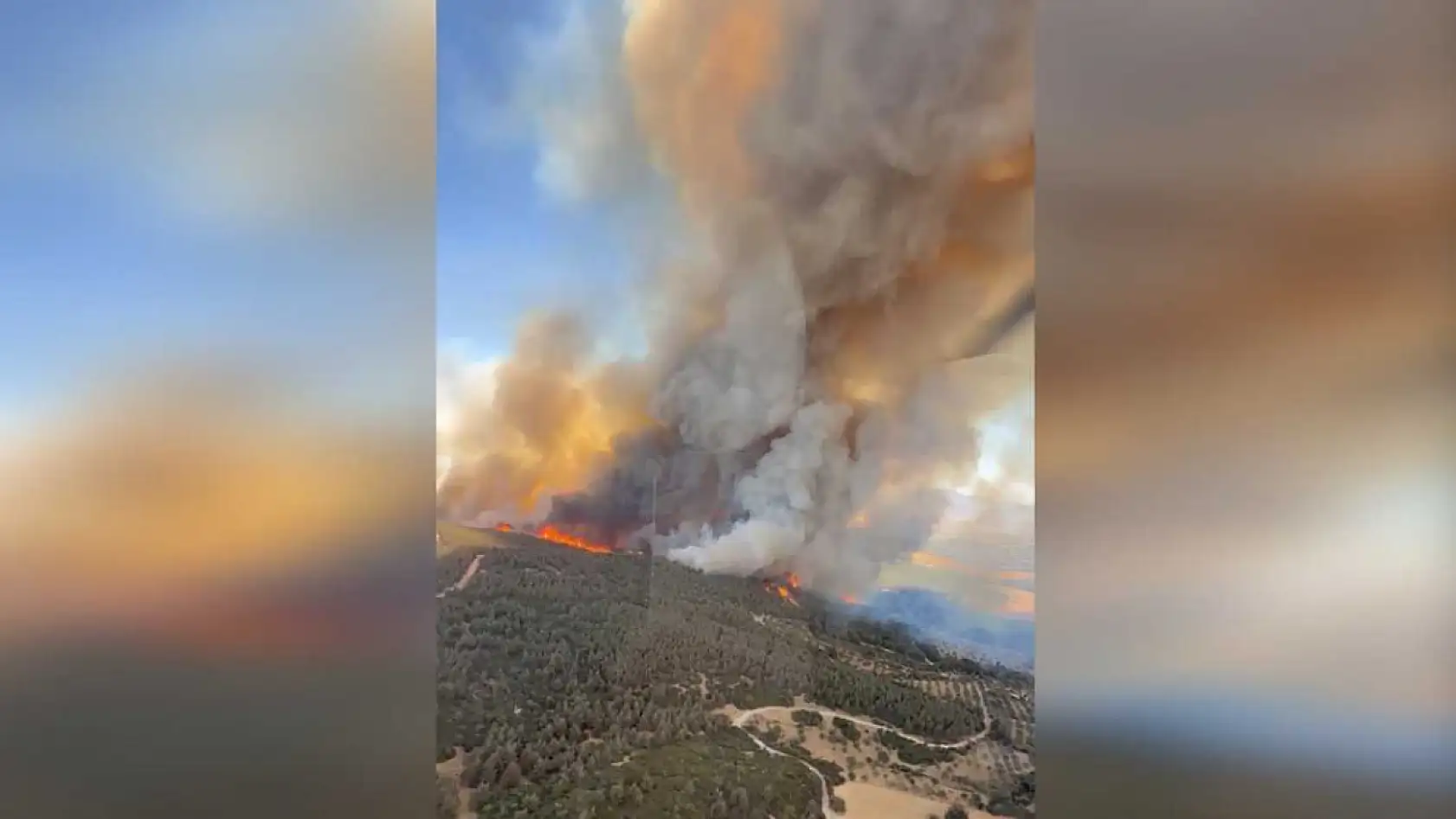 İzmir'de orman yangınına havadan 11 uçakla müdahale