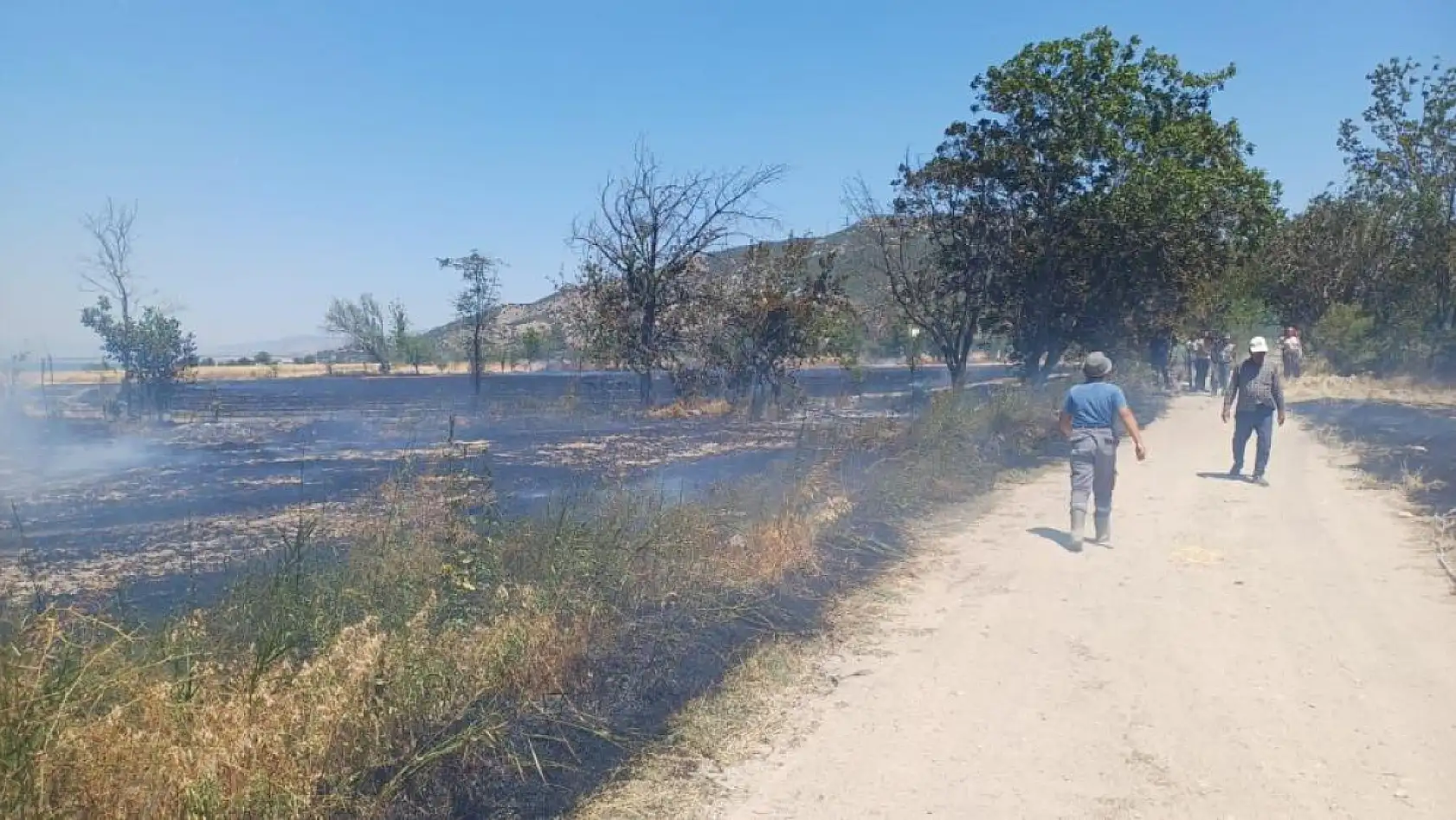 Burdur'da çıkan yangında 8 dönüm arazi zarar gördü