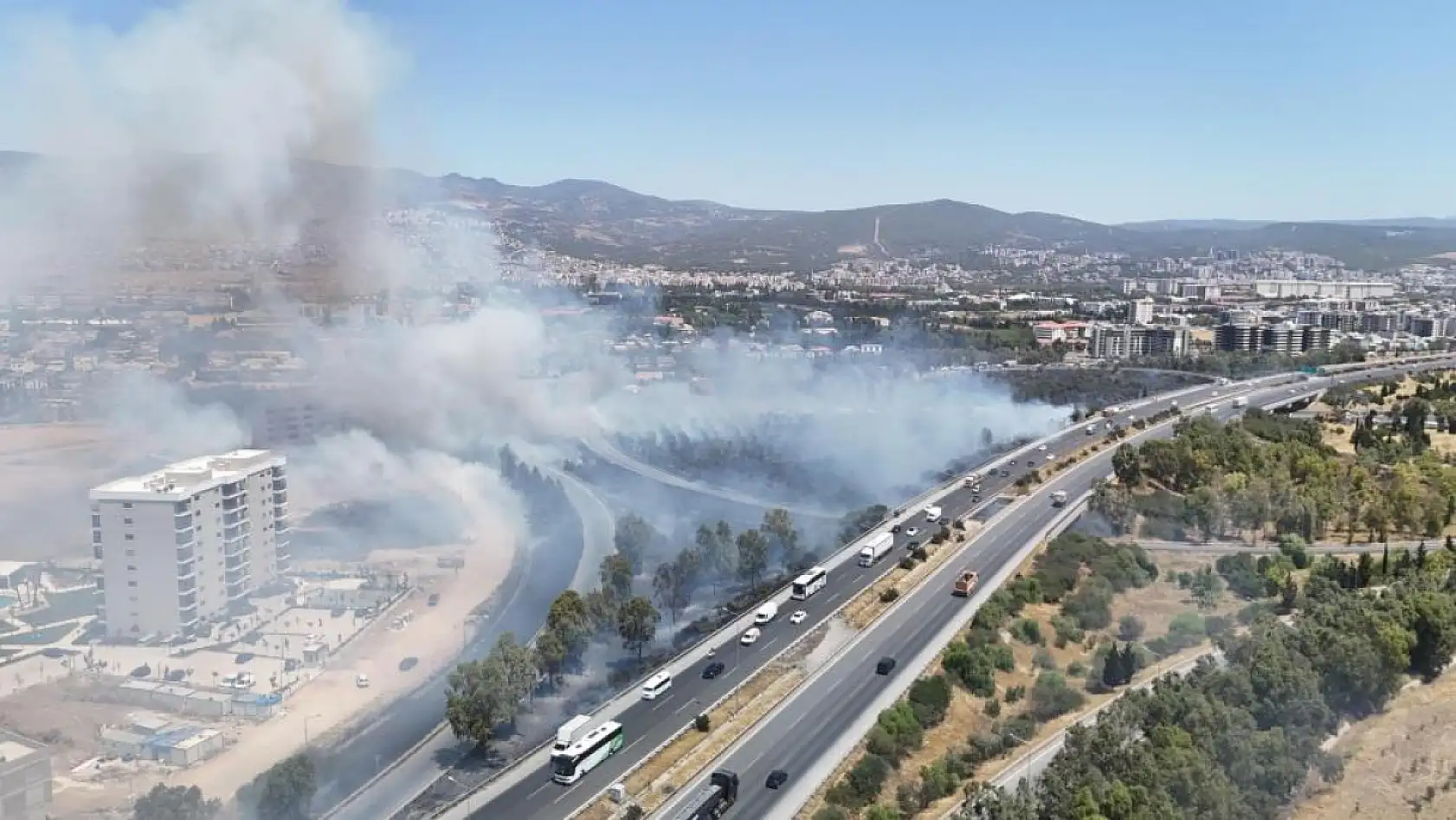 İzmir'de otluk alanda yangın