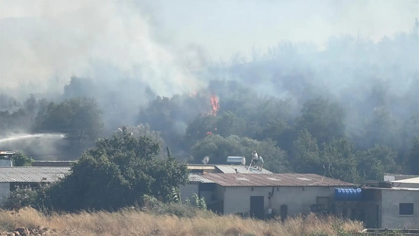 Bodrum'da makilik alanda yangın paniği