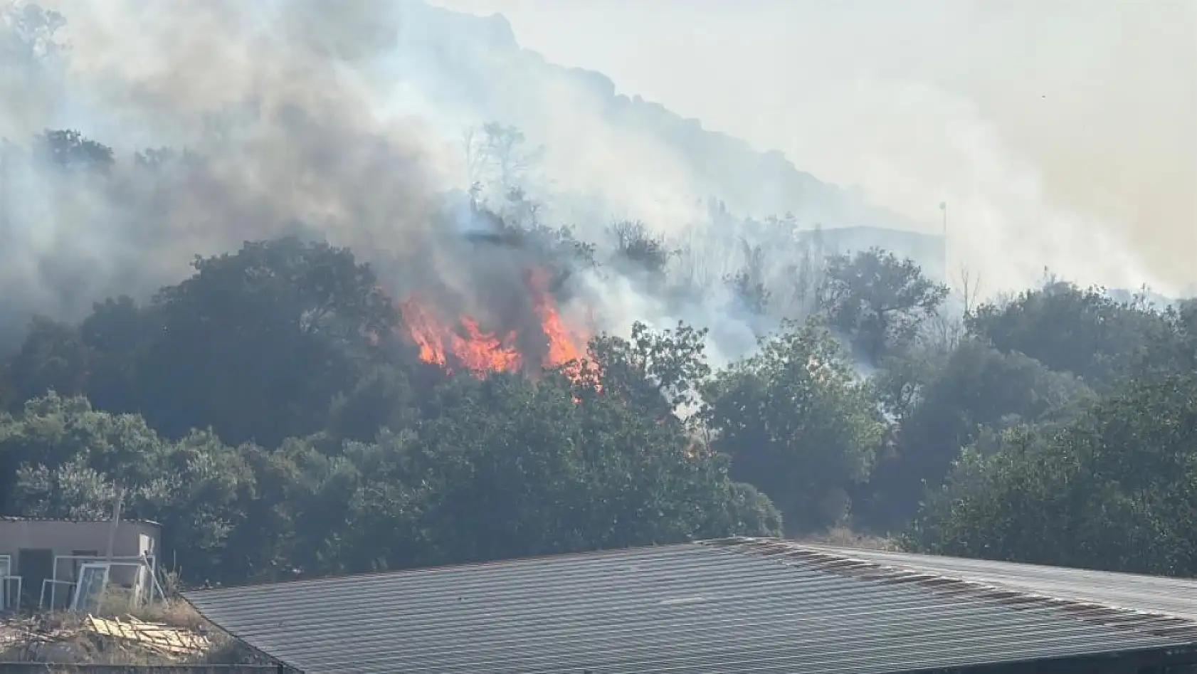 Bodrum'da makilik alanda yangın paniği