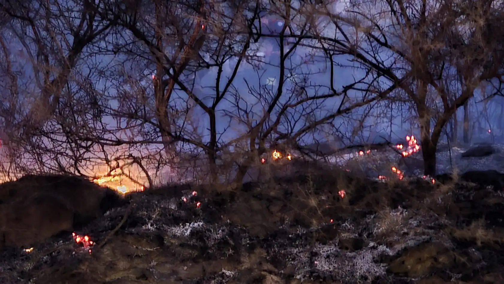 Muğla'da düğün konvoyundan atılan meşale yangın çıkardı
