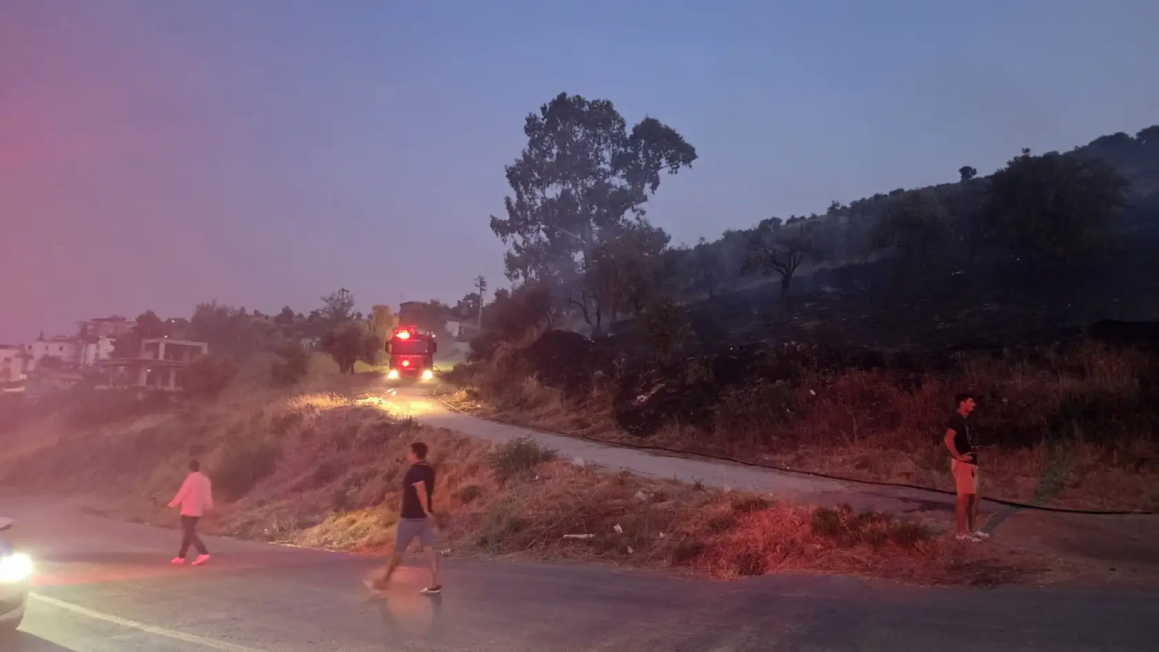 Muğla'da düğün konvoyundan atılan meşale yangın çıkardı