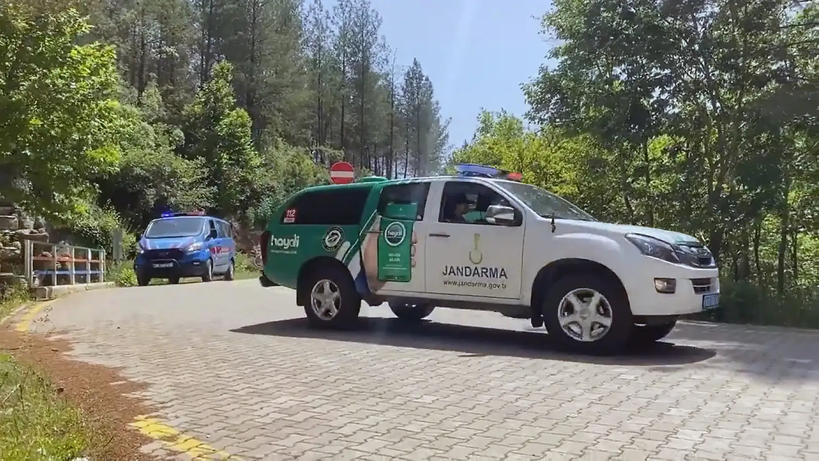 Komando, Polis Özel Harekât ve orman ekipleri 'Yeşil Vatan' nöbetinde