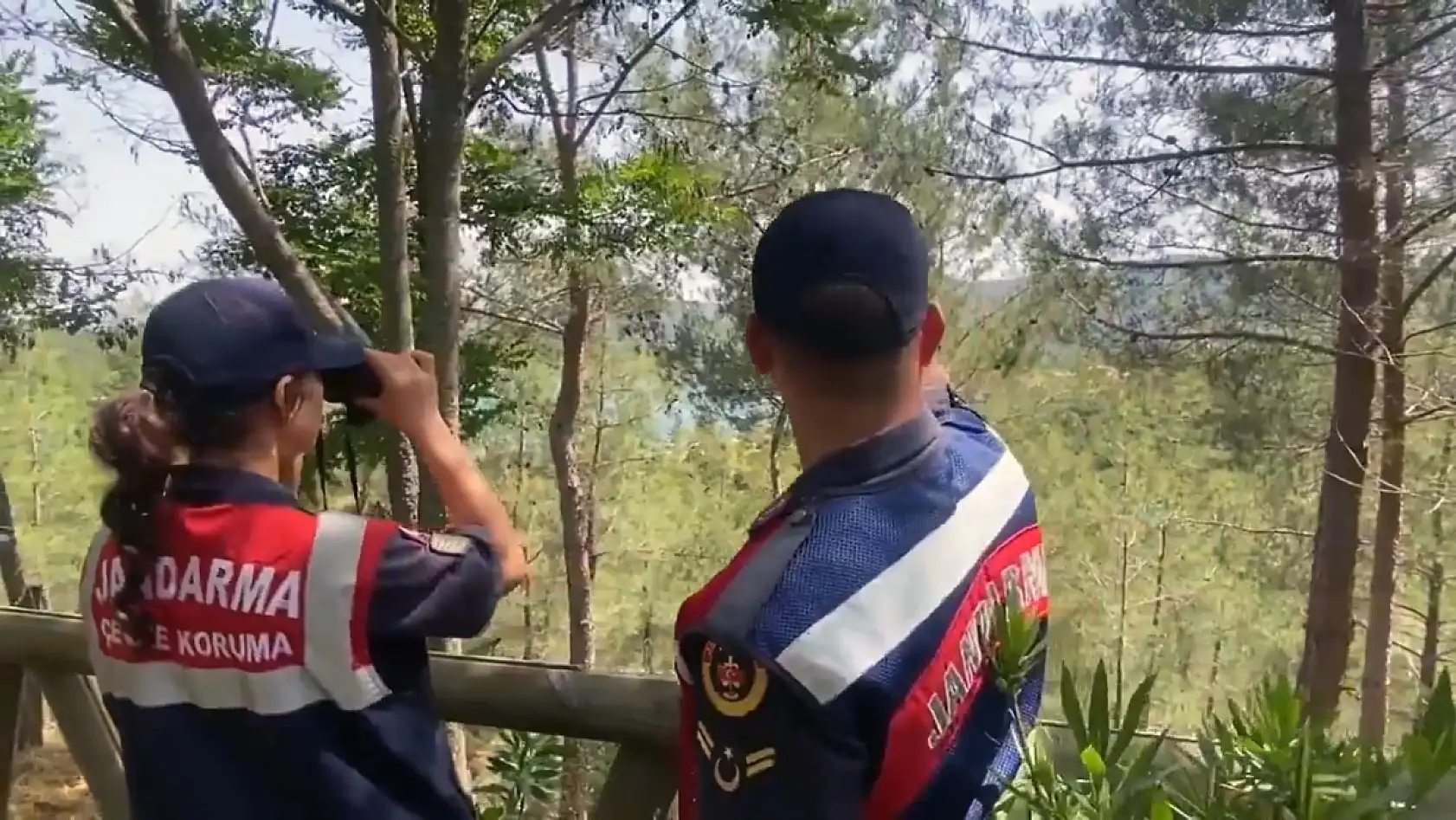 Komando, Polis Özel Harekât ve orman ekipleri 'Yeşil Vatan' nöbetinde