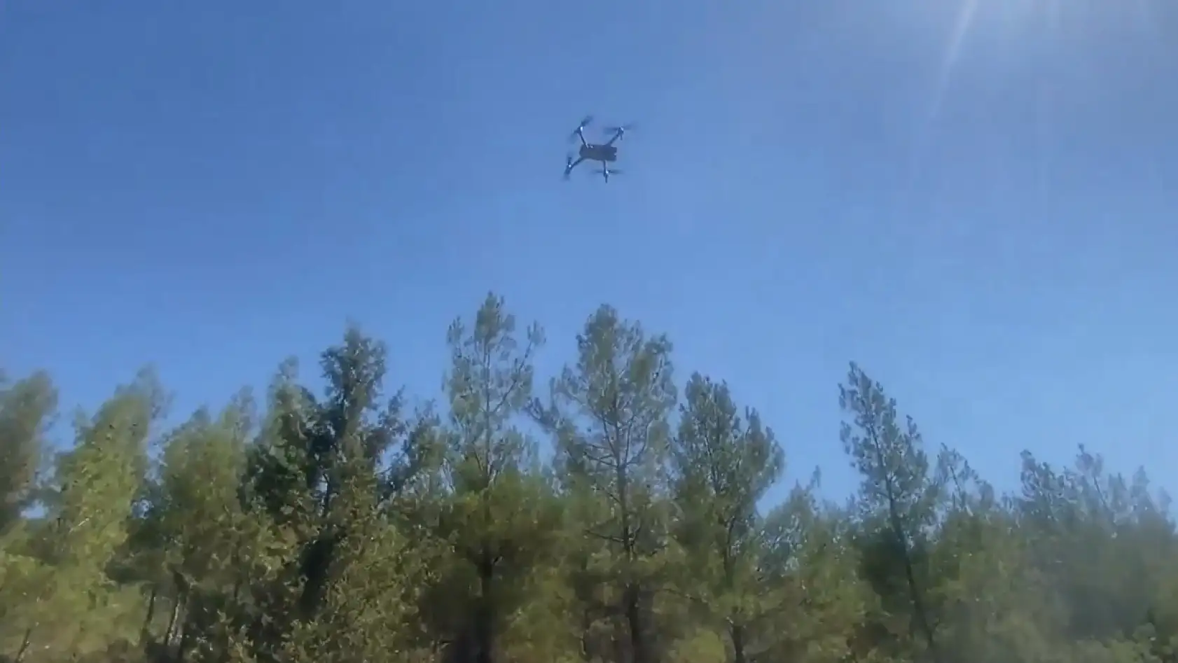 Komando, Polis Özel Harekât ve orman ekipleri 'Yeşil Vatan' nöbetinde