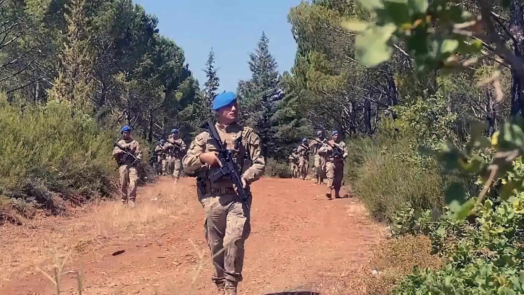 Komando, Polis Özel Harekât ve orman ekipleri 'Yeşil Vatan' nöbetinde