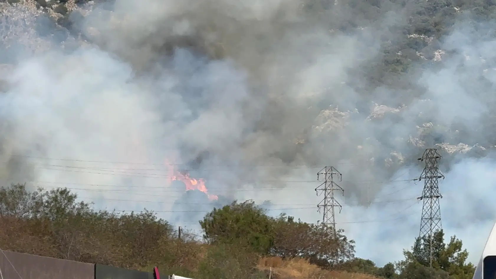 Bodrum'da makilik ve ormanlık alanda yangın çıktı