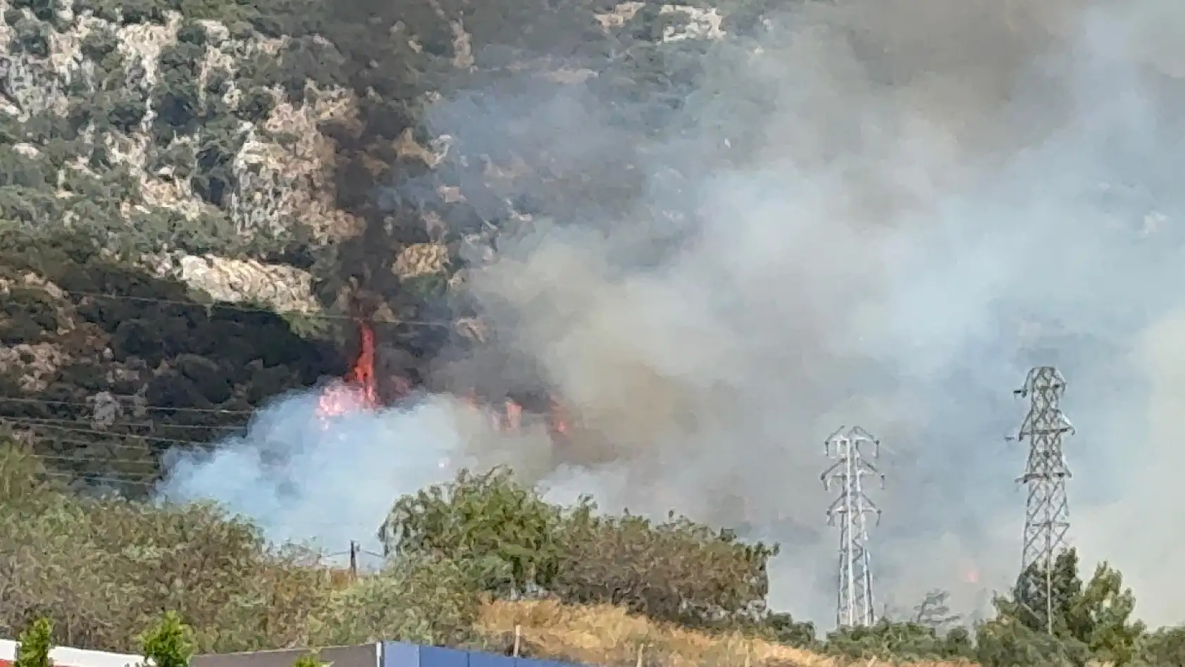 Bodrum'da makilik ve ormanlık alanda yangın çıktı