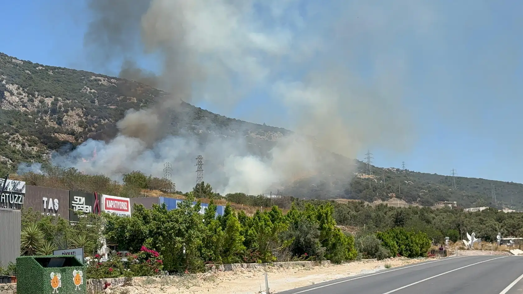 Bodrum'da makilik ve ormanlık alanda yangın çıktı