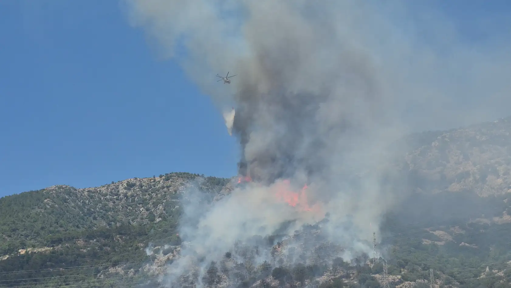 Bodrum'daki yangın kontrol altına alındı