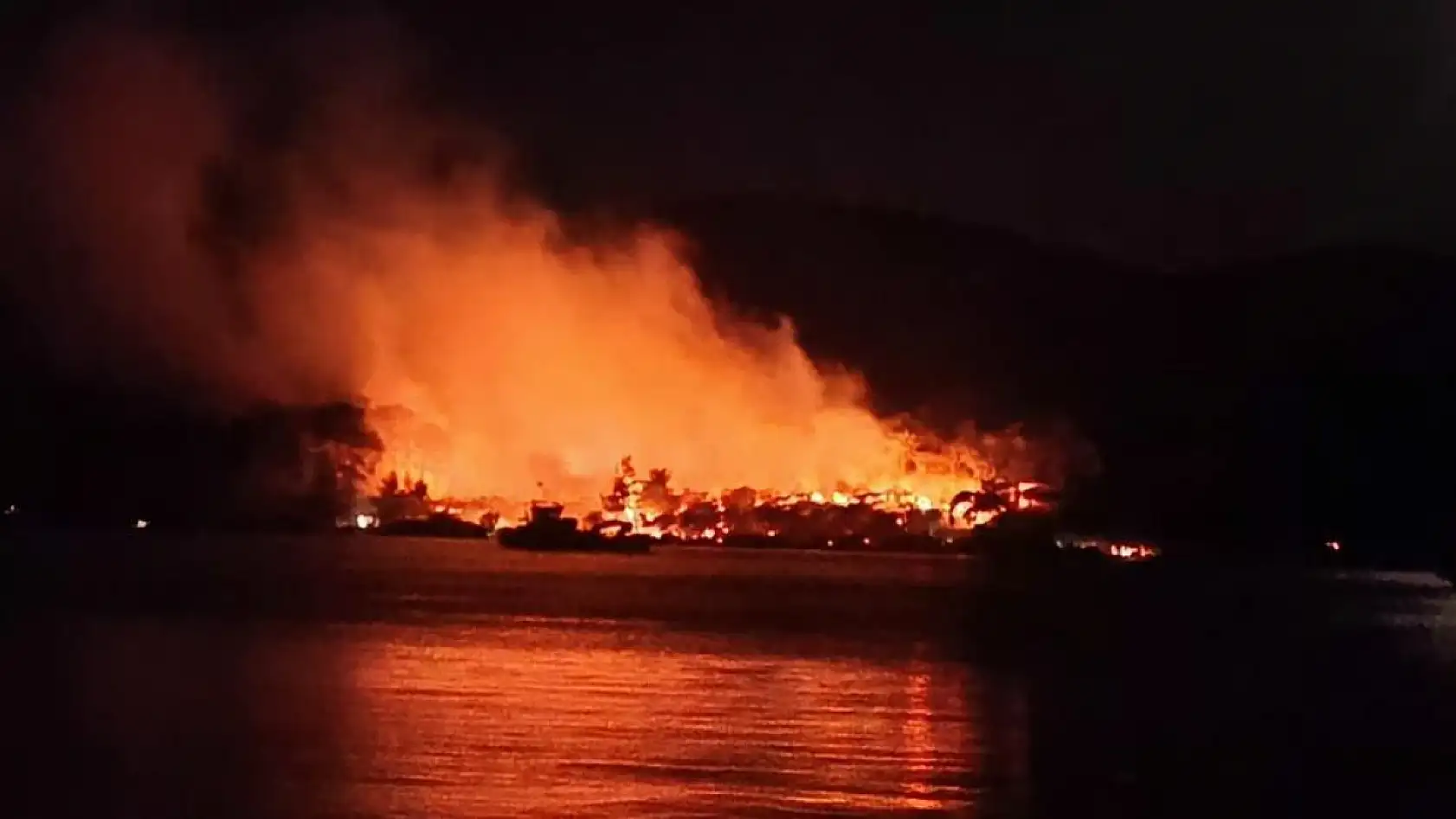 Milas'ta orman yangını