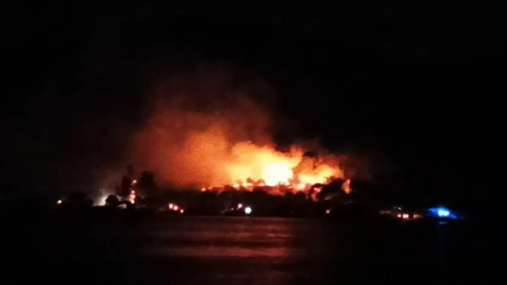 Milas'ta orman yangını