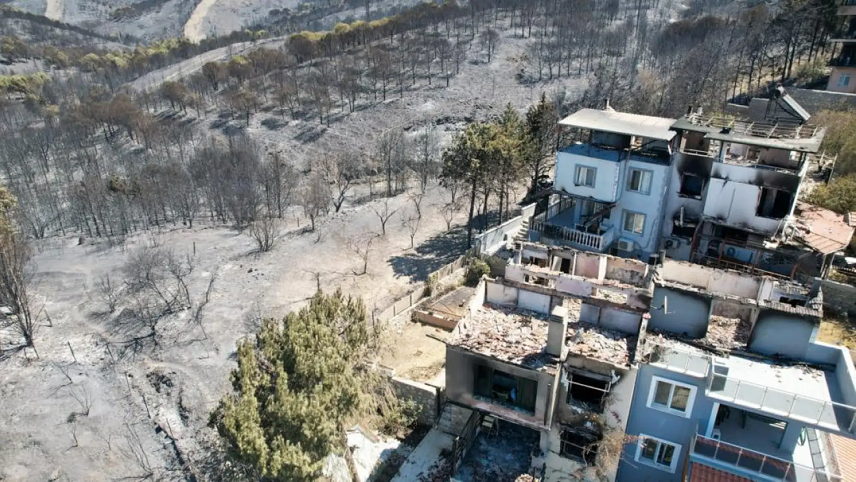 İzmir'deki Orman Yangını Geride Enkaz ve Gözyaşı Bıraktı