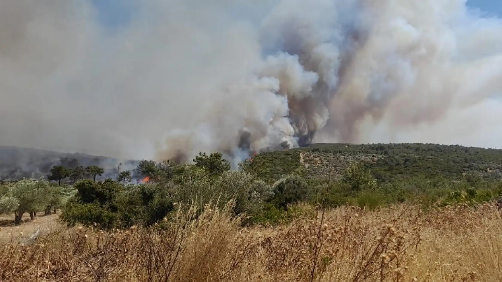İzmir'de Çeşme'de yangın büyüdü, 5 uçak ve 18 helikopterle müdahele sürüyor